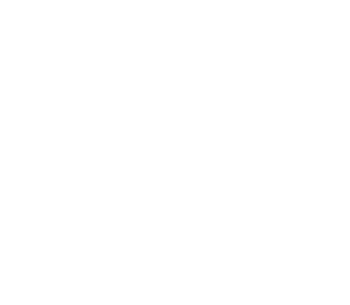Fiat Professional